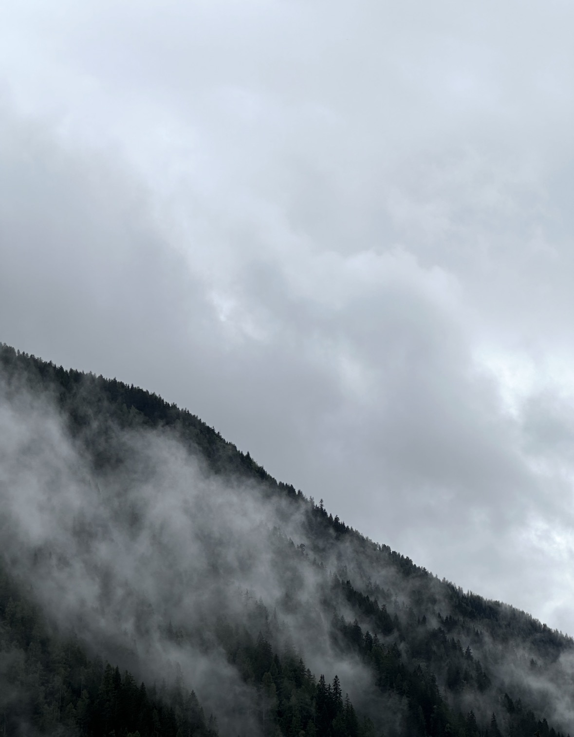 La nebbia attraversa lentamente un pendio coperto di abeti